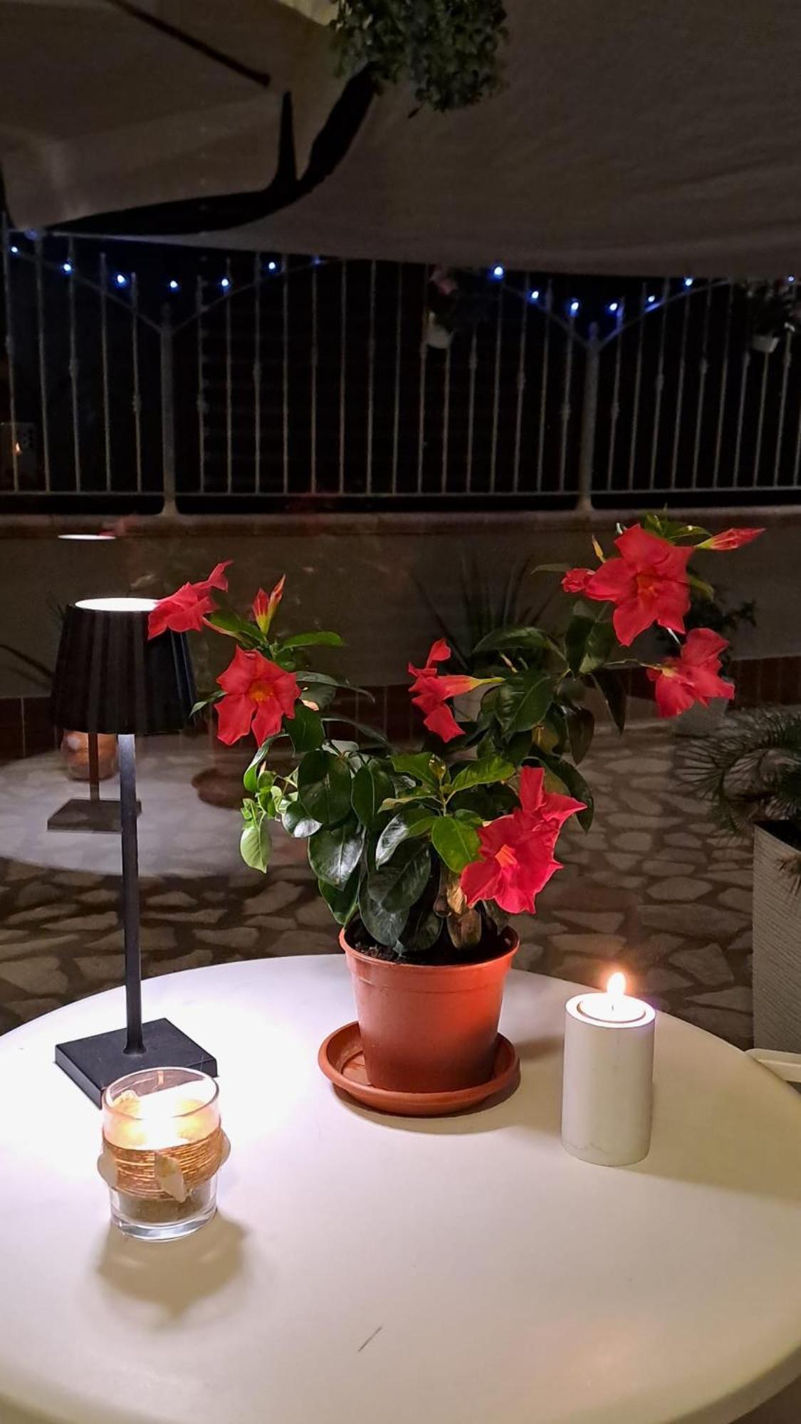 Tramonto Sul Mare Bed & Breakfast Термоли Екстериор снимка